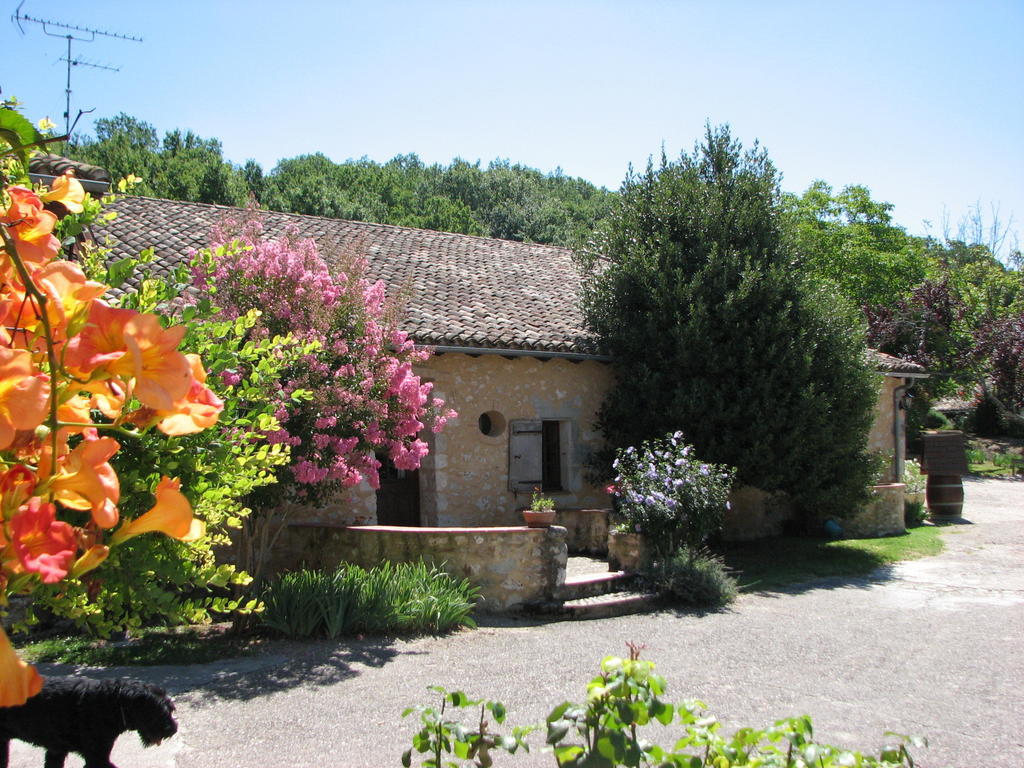 Chambres D'Hotes De Charme Du Chateau De Missandre Saint-Pierre-de-Caubel Δωμάτιο φωτογραφία